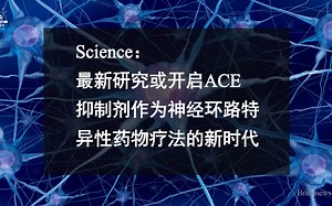 #Brainnews 【前沿快讯】 Science：最新研究或开启ACE 抑制剂作为神经环路特异性药物疗法的新时代