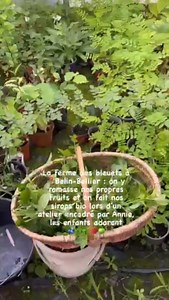 87 reactions | Vues imprenables, rencontres avec les producteurs et...