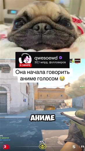 Твич: qwesoewd #рек #твичмоменты #rostikfacekid #helin139 #кс2моменты | Anime Voice Acting