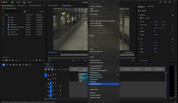 How to make Rotoscope and apply the VFX PACK in Adobe Premiere Pro