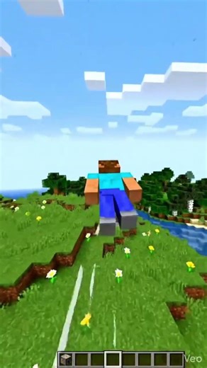Minecraft Steve Falling! 🪂