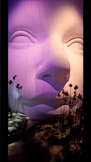 Inside Denmark’s National Museum: Viking History #travel #shorts