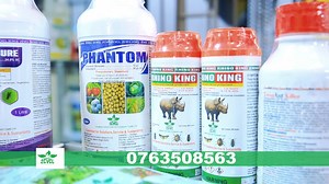 Call African African Agrovet Z ltd on 0763508563 for grain protection solution | ABN TV Zambia | Facebook
