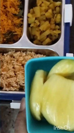 Lunch Box Ideas for Kids | What I Packed for My Daughter Today