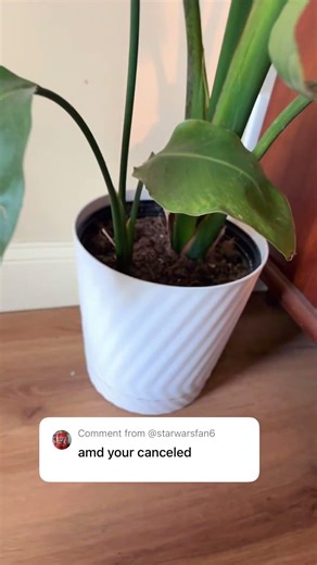 I didn’t tell you when you’re getting game boy #joycon #nintendo