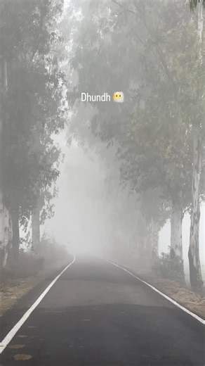 Ravi Rawal on Instagram: "Ye dhundh bhi tum jaisi hai 😶‍🌫️🫵 #viral #reelitfeelit #fog #winter #instalove"