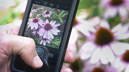 Probing Question: Are smartphones changing photography? | Penn State University
