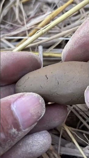 EASY CLAY FISH SCULPTURE | TRADITIONAL HANDMADE ART#viral