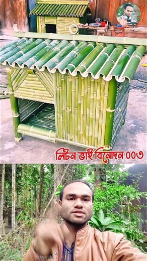 বাঁশ দিয়ে হাস মুরগির কতো সুন্দর ঘর বানিয়েছে #shortsfeed #youtubeshorts #shorts #shortsvideo