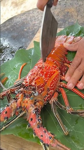 This 1.5kg Lobster is a MONSTER! 🦞
