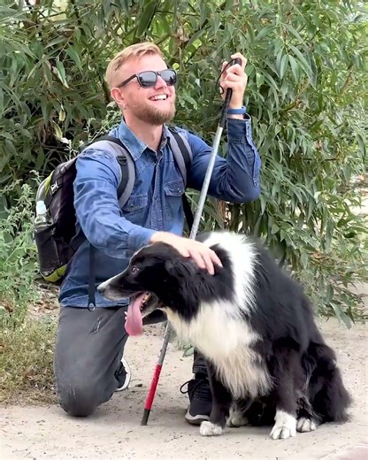 Hero Border Collie Saves Blind Owner from Danger 🐕❤️