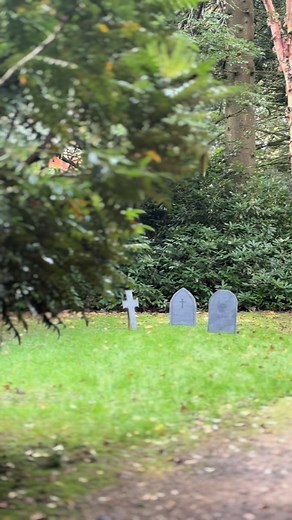 Halloween has arrived at Larmer Tree 👻 Join us this Sunday for our Spooktacular! Tickets available in our bio 🎟️ - Fizzing Science Fun with @fizzpopscience - Spooky trail through our woodlands - Potion Making with Dr Frank N.Stein - Goulish delights with @forkingout #halftermfun #dorsetevent #familyday #halloween #wiltshire #visitwiltshire | Larmer Tree Gardens