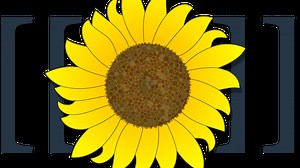 Web Served 7: Wiki wiki wiki!