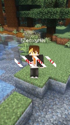 ShulkerBox di Minecraft #shorts #minecraft