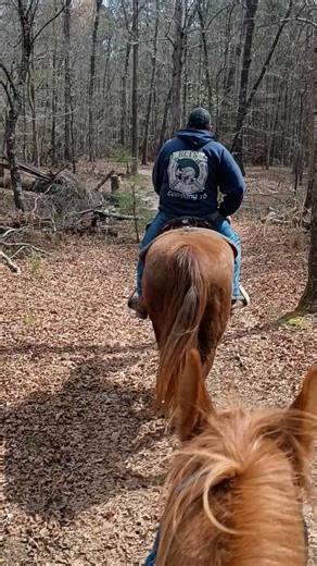 Just Riding #horsebackriding #godscreation #horses #nature #camping