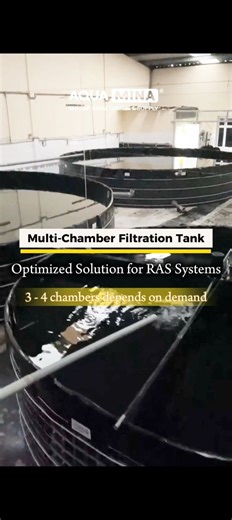 📐 𝗠𝗨𝗟𝗧𝗜-𝗖𝗛𝗔𝗠𝗕𝗘𝗥 𝗙𝗜𝗟𝗧𝗥𝗔𝗧𝗜𝗢𝗡 𝗧𝗔𝗡𝗞 - 𝗔 𝗦𝗠𝗔𝗥𝗧𝗘𝗥, 𝗙𝗔𝗦𝗧𝗘𝗥 𝗪𝗔𝗬 𝗧𝗢 𝗕𝗨𝗜𝗟𝗗 𝗔 𝗖𝗢𝗠𝗣𝗔𝗖𝗧 𝗥𝗔𝗦 𝗙𝗜𝗟𝗧𝗥𝗔𝗧𝗜𝗢𝗡 𝗦𝗬𝗦𝗧𝗘𝗠 - 4-in-1 design that integrates mechanical filtration, biofiltration, water stabilization, and return pumping in one space-saving unit. - Choose 3 or 4 chambers based on your stocking density and water exchange target. - Built with HDPE or PVC liner, and perforated partitions to ensure smooth overflow between chambers for s