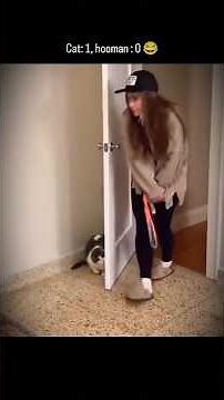 Gatos🐈 divertidos🤣 escondiéndose 😲#funny #cat #viral #parati #humor #viral #gatos