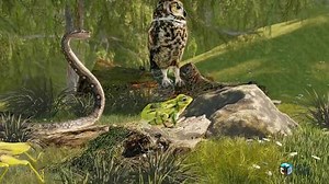 Food chains and webs - Exciting animation video - Distance Learning