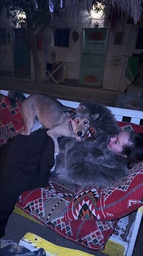 POV: My Dog Decided I’m Its Bed 🐶😂