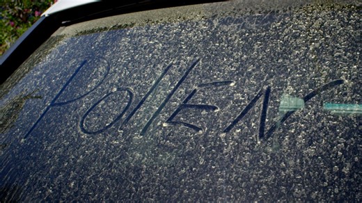 Spring Allergy Guide: Pollen Forecast, Peak Times And Relief Tips