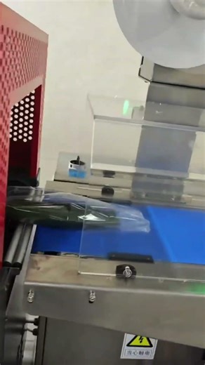 POF Shrink Film Wrapping Fresh Cucumbers | Food Packaging Process