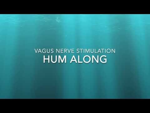 Eb Note to Hum with to Stimulate the Vagus Nerve
