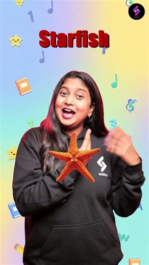 2 Words = 1 Word 🤯 | Rainbow, Butterfly, Sunflower, Toothbrush | English for Hindi Speakers