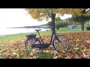 Gazelle EasyFlow Video Review & Ride Test