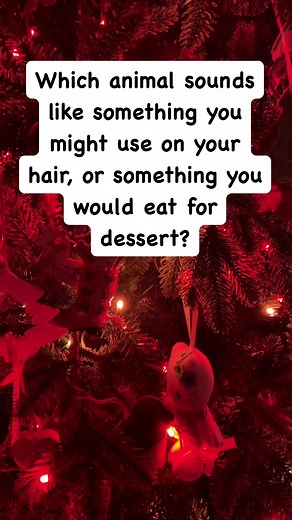 19K views · 36 reactions | Big fella #brainteaser #puzzle #riddle #family #fun #viral #reels #viralreels | Rob And Elizabeth | Facebook