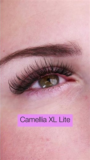XL Lite Camellia vs Wispy | Texture Without Bulk