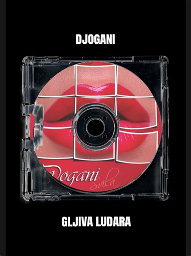 Djogani - Gljiva Ludara 🫨 | #djogani #srbija #balkanmusic #foryou #lyrics