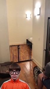 307K views · 4.8K reactions | Magical dog | Vector | Facebook