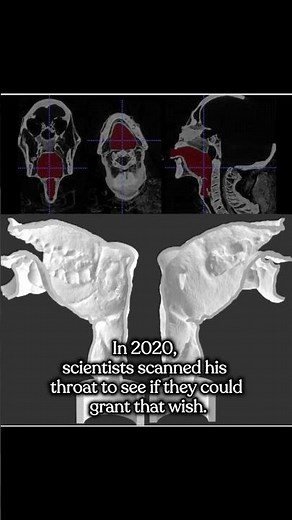 Scientists Recreate the Voice of a 3,000-Year-Old Mummy! 🎧 #archaeology #history