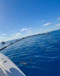 Vicky Stark Fishing on Reels