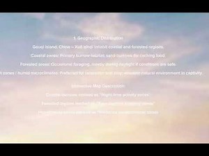 Basic information about the Xuě diāo de qīnqī, Check description.