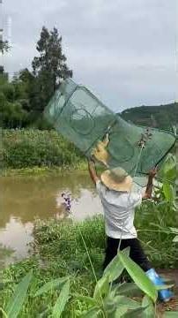 Let's see how people catch fish by the river