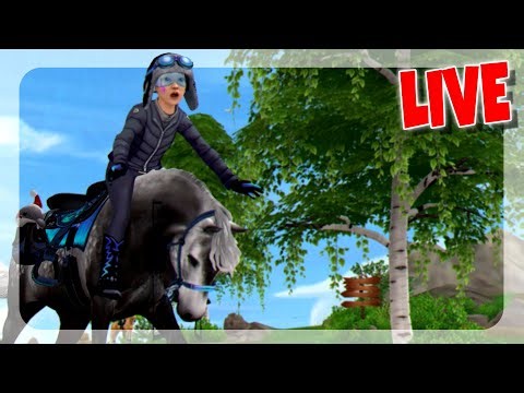 DIE NEUEN CONNEMARAS LEVELN 🐴 ABEND STREAM SERVER 6 | Star Stable [SSO]