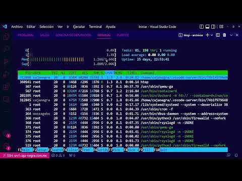 Ve el estado de tu memoria RAM - vmstat