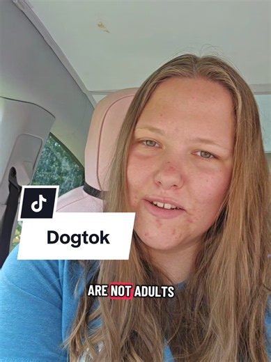 and for the dogtok 12 year old who sees this, please calm down it's not that serious I pinky promise. #dogtok #servicedog #sdit #dogcommunity #dogs
