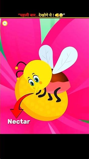 How Do Bees Make Honey 😱