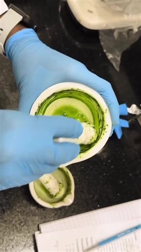 DNA Extraction from Plants: A Simple Guide