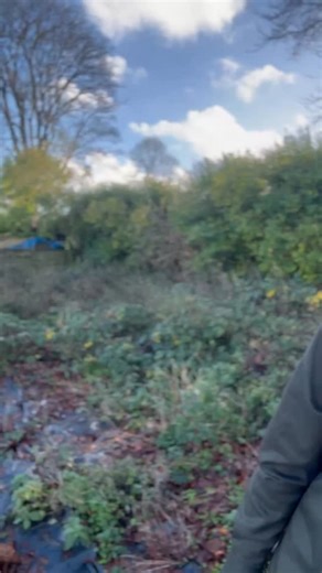 Adam Kirtland 🌱 Garden Tips, Tricks and Ideas on Instagram: "You’ve GOT TO save this one! 🍓🤤 Alright then…who spotted my big mistake!? 🤣 there’s a prize for whoever gets it first! 💚 Follow me now for more gardening hints, tips, advice and ideas like this! Go on, do it now 🙌🏻 #Gardening"