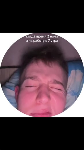 Funny Dog Memes to Brighten Your Night