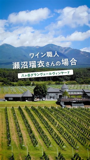 豊田 大輔 on Instagram: "ほくとファンクラブのお仕事動画2本目！ 以下、引用です。 「自然の中で暮らしたいけど」 「田舎には仕事がないんでしょ？」 の声にこたえるために制作した 北杜市のお仕事動画 『ほくとで働く、 ほくとで暮らす。』 第2弾‼️ これまたわたしの愛する地元のワイナリー グランヴェールヴィンヤードで働く 醸造家、瀬沼瑠衣さん編。 学生時代に 「自分の手でワインをつくりたい」 という思いに目覚めてから。 ワインについて学び、 フランス語を学び、 就職してからは土づくり、 ブドウ作り、ワインづくりを学び。 とにかく手探りで「ワイン」というものを とことん追求してきた。 そんな熱い思いをもって 北杜で働き、北杜で暮らす 瀬沼さんのインタビューを ぜひ音声アリでご覧ください‼️ 春夏秋冬、 北杜でブドウを育てる日々。 「（ブドウと）同じ雨に打たれて」 ここにいる、という言葉が とても印象的でした😌 そんな瀬沼さんがつくるワインは もうすごく美味しくて‼️ 特別な瞬間に相応しく 誰もが「ほぅ…」と魅入られる味。 旧友との再会を祝ったり 記念日にとっておきの一杯に