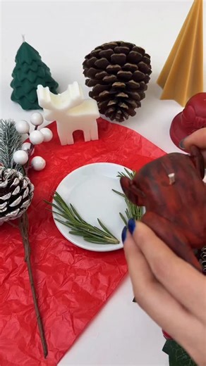 Pavo Navideño 🎄 Ya está disponible en la web, no se queden sin su cena navideña 🦃 | zita.candle.shop