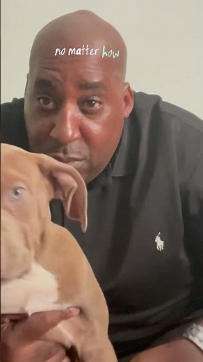 Dogs helping with depression and anxiety