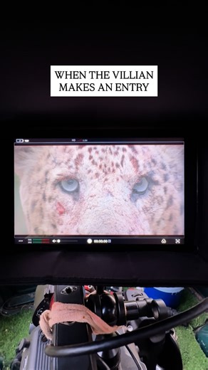 Kenneth Lawrence on Instagram: "The fallen king has returned. 🎥🐆"