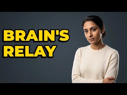 What Is The Function Of Thalamic Processing?