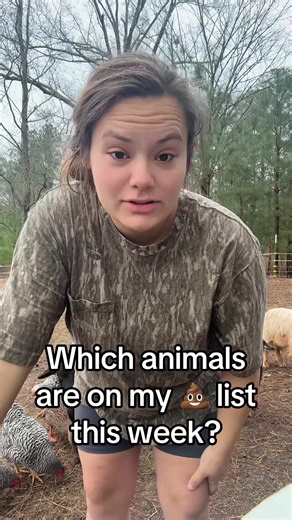 This Week's Farm Animals: Good or Bad?