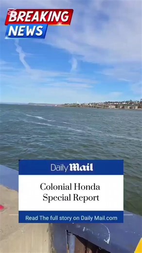 🗞️ BREAKING NEWS: Deals are rolling in at Colonial Honda! 🎙️ Our Certified Pre-Owned Sale is officially on, and sources confirm we’ve got over 100 vehicles in stock, all priced to move. 🚗💨 From reliable Hondas to a variety of top brands, your next ride might just be making headlines. 📍Live coverage available at Colonial Honda — don’t miss it! 👉 colonialhonda.ca/vehicles/used/?view=grid&sc=used #SteeleAutoGroup #ColonialHonda #HalifaxHonda #CertifiedPreOwned #UsedCars #SaleEvent #CarShoppin